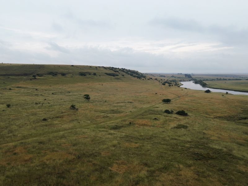 Dream Big: 55 Hectares to Develop a Town Extention of Your Own - Photo 7