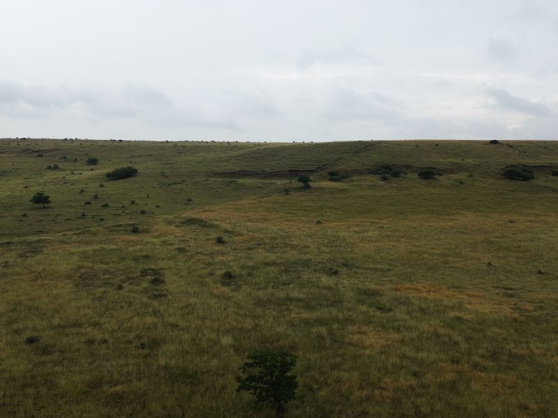Dream Big: 55 Hectares to Develop a Town Extention of Your Own - Photo 8
