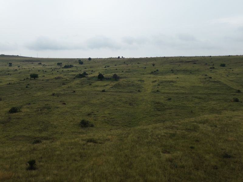 Dream Big: 55 Hectares to Develop a Town Extention of Your Own - Photo 3