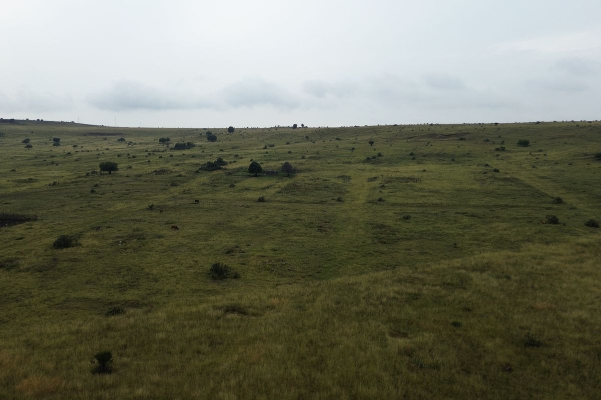Dream Big: 55 Hectares to Develop a Town Extention of Your Own - Photo 3