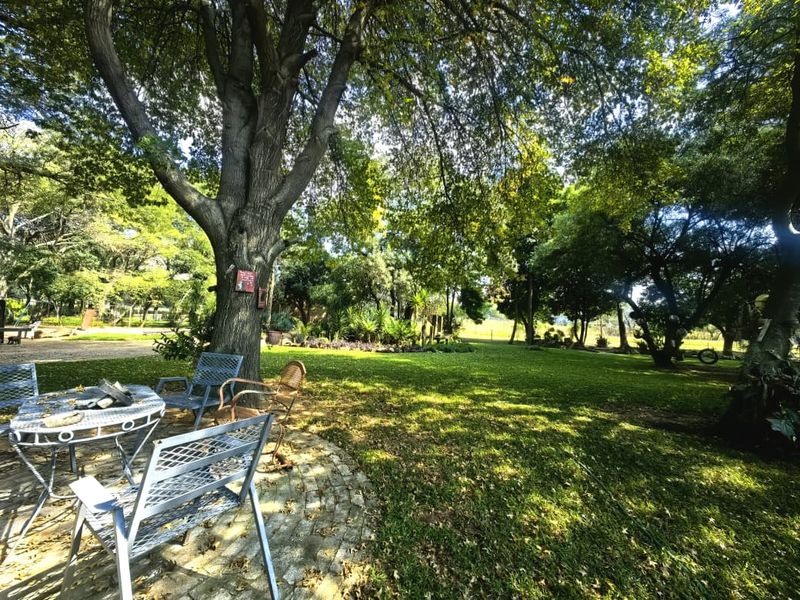 3.6 Hectare Agricultural Holding for Sale - Rietvly - Photo 5