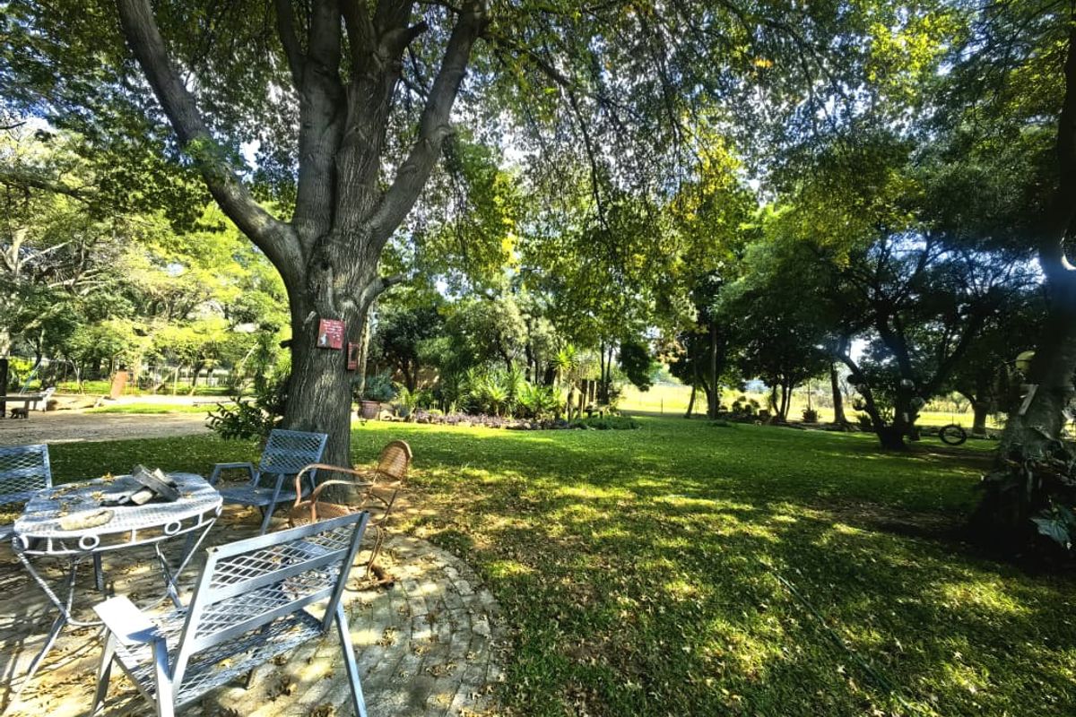 3.6 Hectare Agricultural Holding for Sale - Rietvly - Photo 5