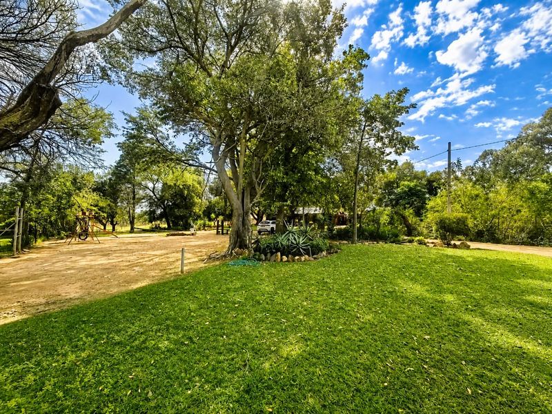 3.6 Hectare Agricultural Holding for Sale - Rietvly - Photo 4