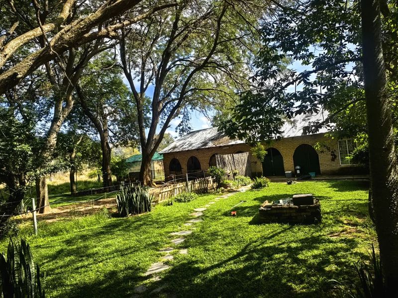 3.6 Hectare Agricultural Holding for Sale - Rietvly - Photo 2