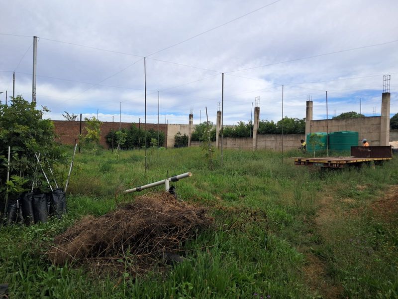 INVESTMENT OPPORTUNITY!!! - Photo 10