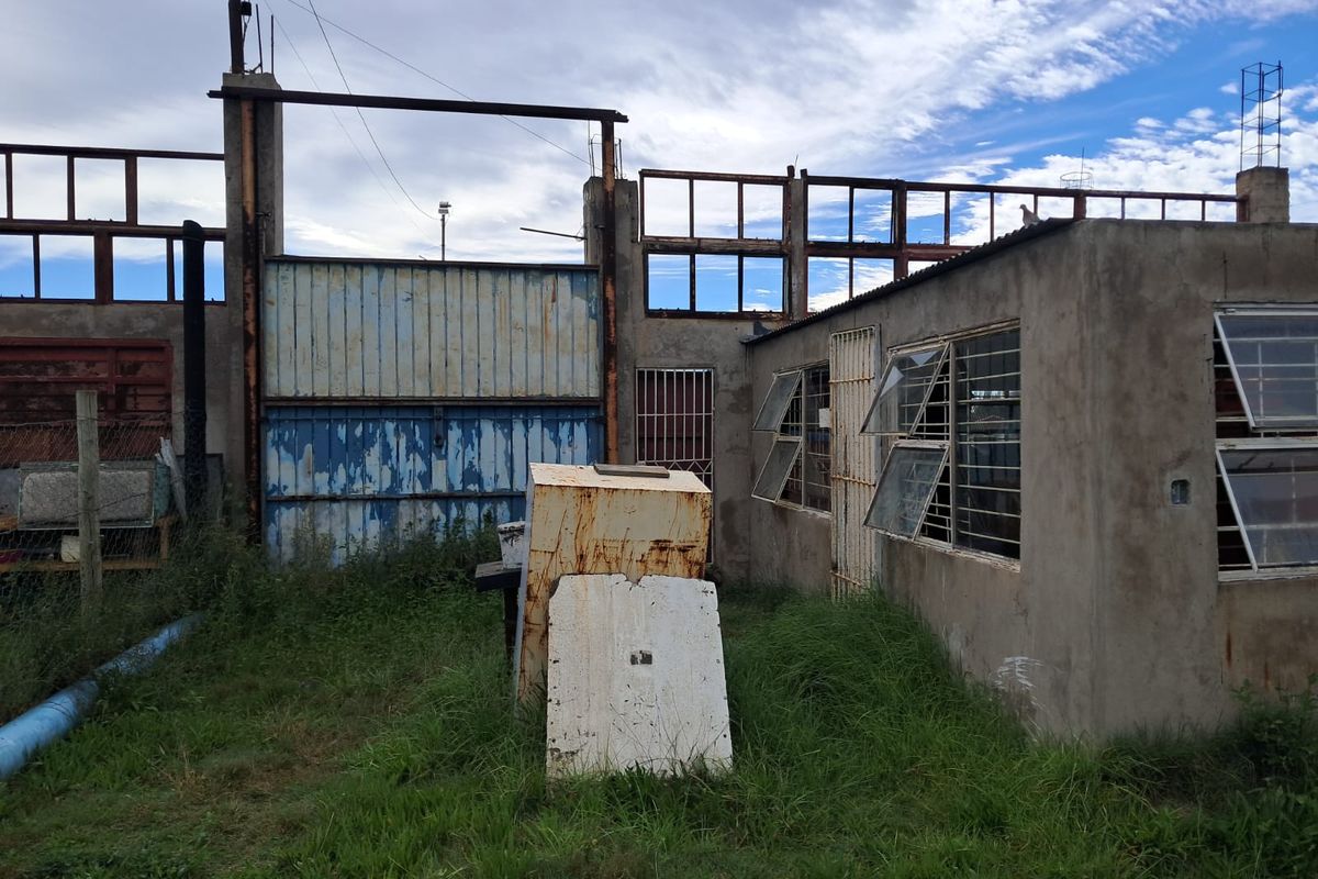 INVESTMENT OPPORTUNITY!!! - Photo 5
