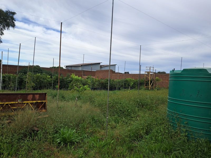 INVESTMENT OPPORTUNITY!!! - Photo 8