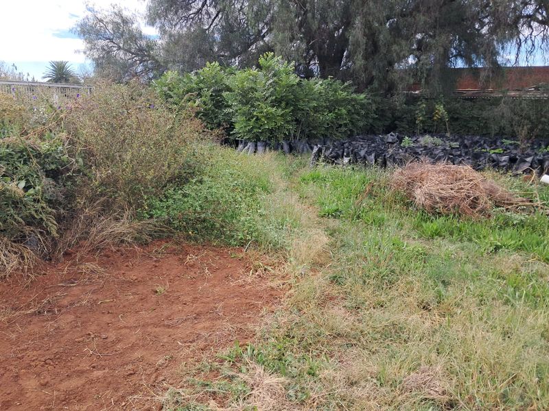 INVESTMENT OPPORTUNITY!!! - Photo 4