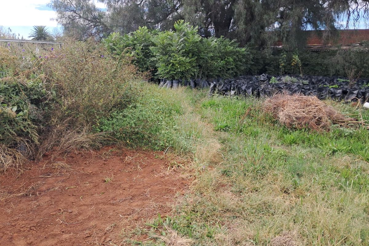 INVESTMENT OPPORTUNITY!!! - Photo 4