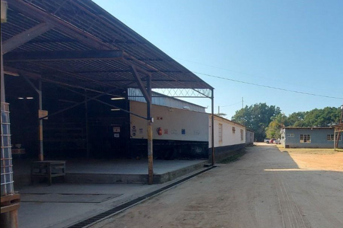 2.7 HACTARE FARM WITH OFFICE AND AMPLE STORAGE OPTIONS- PERFECT FOR LARGE MACHINERY AND TRUCKS - Photo 4