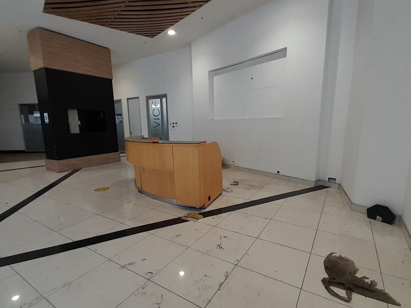 High-Exposure A-Grade Warehouse, Prime Midrand Logistics Hub with N1 Exposure - Photo 9