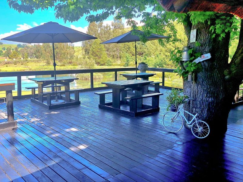 The Old Hatchery – A Hidden Gem in the Southern Drakensberg - Photo 9