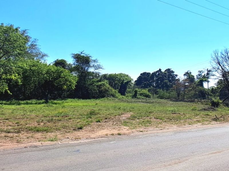 A view of a vacant commercial land plot with direct road access and established trees, suitable for development.