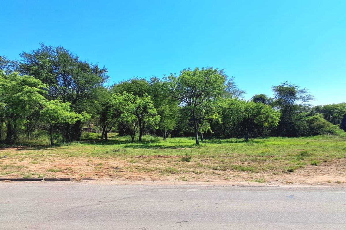 A vacant commercial land plot featuring level terrain, mature trees, and direct access to a paved road.