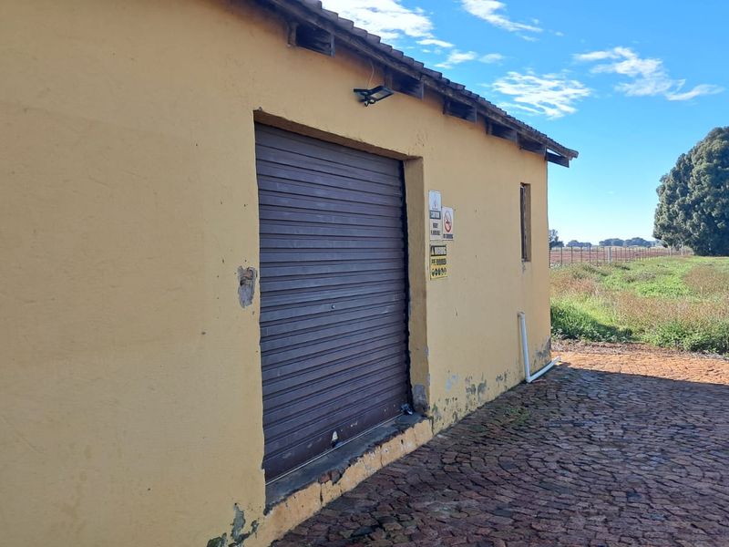 3.4 Ha Small farm FOR SALE in Delmas area - Photo 6