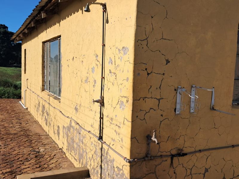 3.4 Ha Small farm FOR SALE in Delmas area - Photo 5