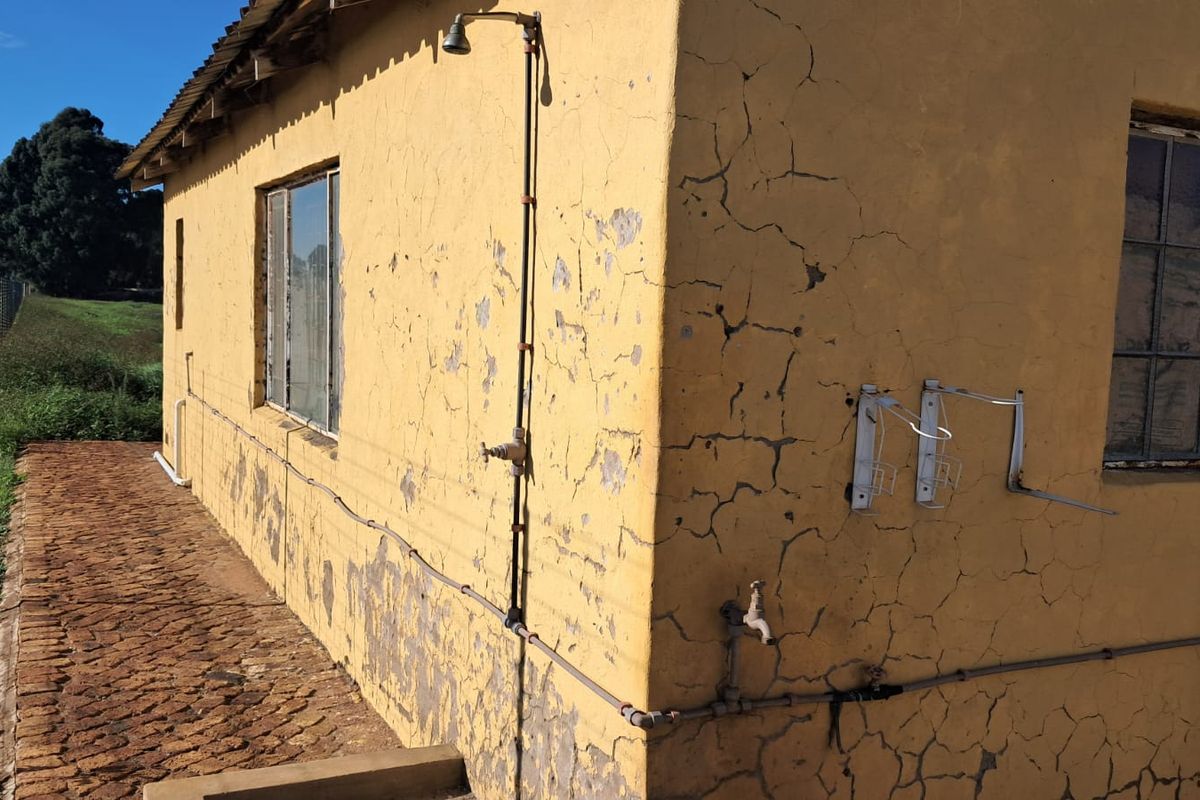 3.4 Ha Small farm FOR SALE in Delmas area - Photo 5