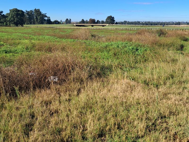 3.4 Ha Small farm FOR SALE in Delmas area - Photo 3