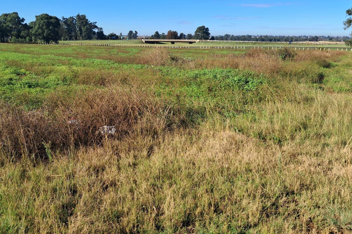 3.4 Ha Small farm FOR SALE in Delmas area - Photo 3