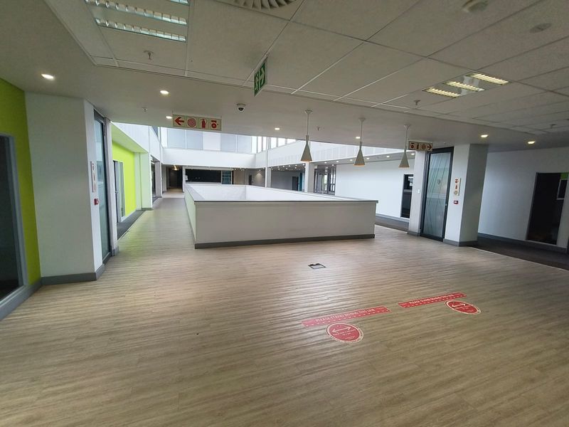 377m2 High-Impact Office Space in 5-Star Green Precinct, Exceptional Connectivity - Photo 7