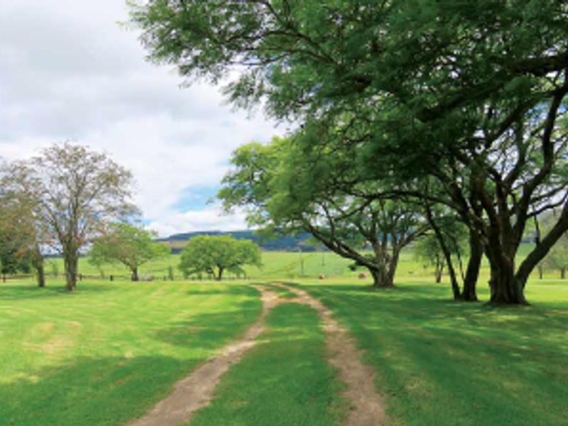 DREAM FARM WITH HILLS, RAVINES, WATERFALLS AND STREAMS. - Photo 3