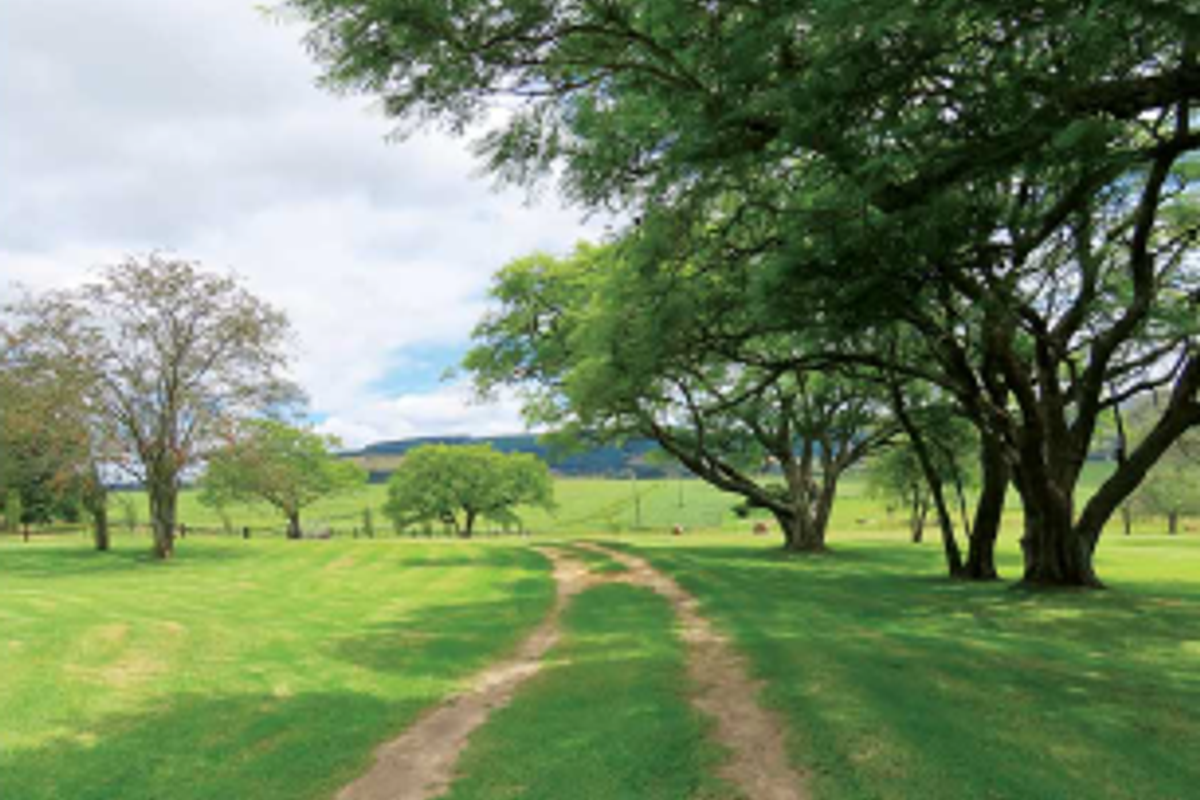 DREAM FARM WITH HILLS, RAVINES, WATERFALLS AND STREAMS. - Photo 3
