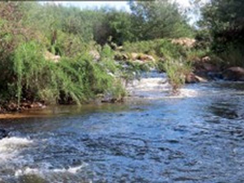 DREAM FARM WITH HILLS, RAVINES, WATERFALLS AND STREAMS. - Photo 6