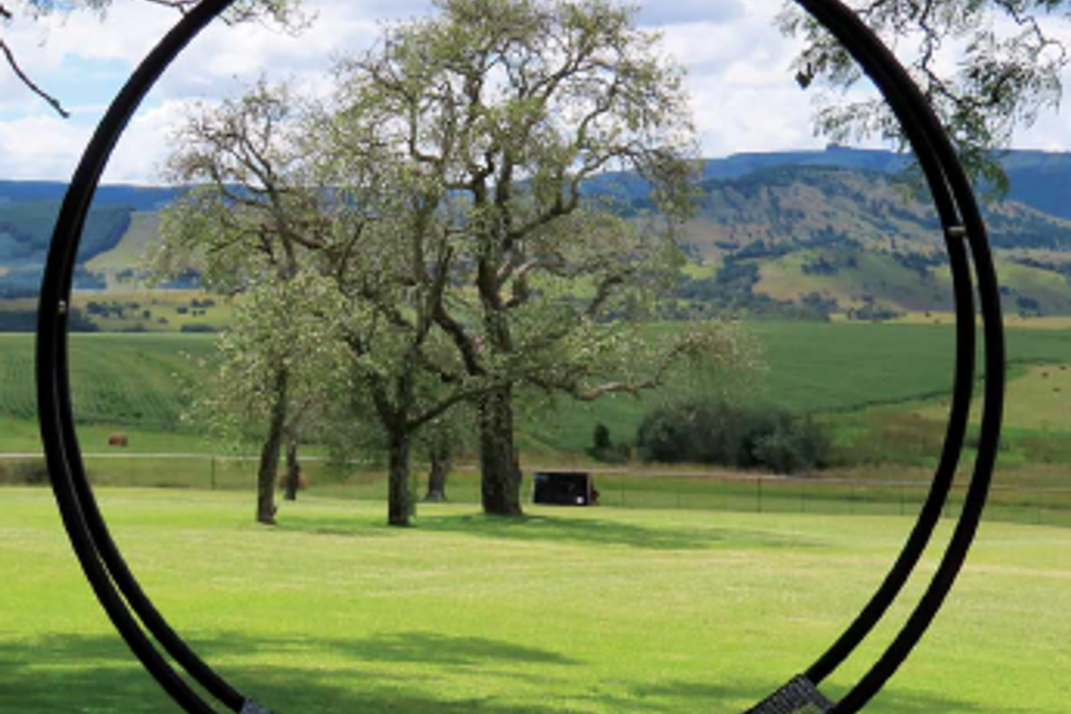 DREAM FARM WITH HILLS, RAVINES, WATERFALLS AND STREAMS. - Photo 4