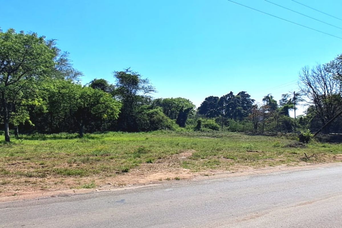 A view of a vacant commercial land plot with direct road access and established trees, suitable for development.