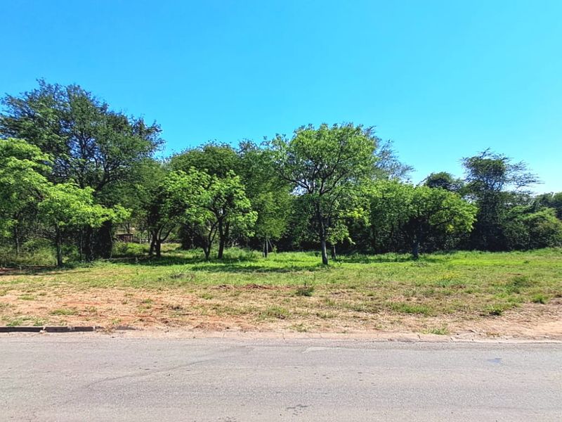 A vacant commercial land plot featuring level terrain, mature trees, and direct access to a paved road.