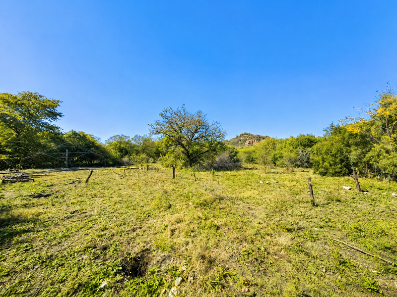 Rustic Country Living with Endless Potential - Photo 10