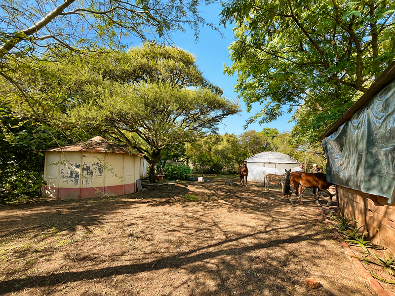 Rustic Country Living with Endless Potential - Photo 8