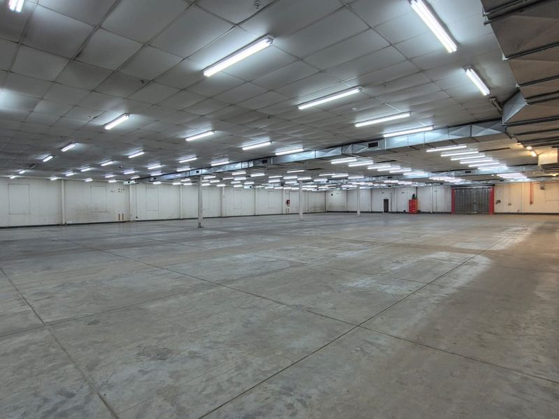 Freestanding Industrial Warehouse, Excellent Truck Access, Hermanstad - Photo 10