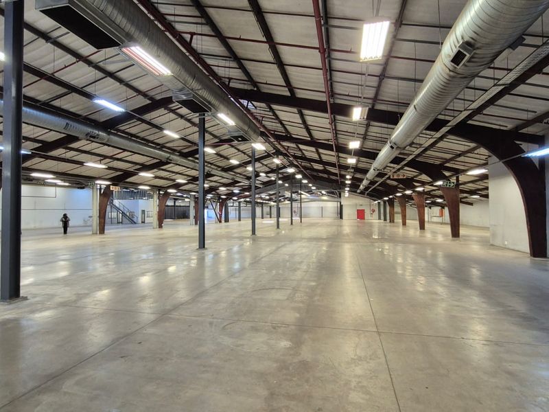 Freestanding Industrial Warehouse, Excellent Truck Access, Hermanstad - Photo 8