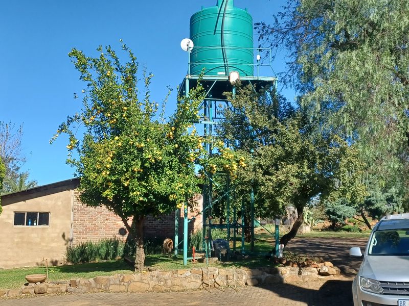 Upmarket sheep and pecan nut farm for sale in Igogo - Photo 3