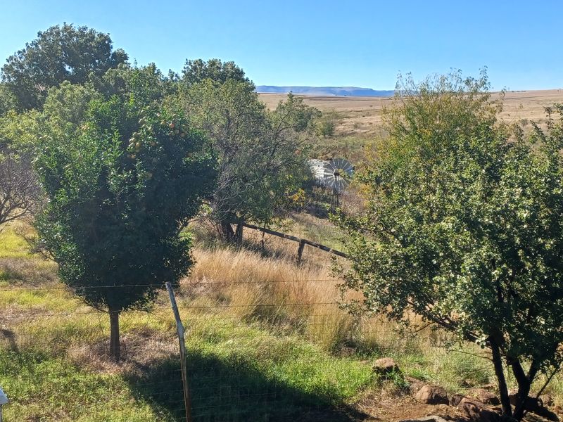 Upmarket sheep and pecan nut farm for sale in Igogo - Photo 7