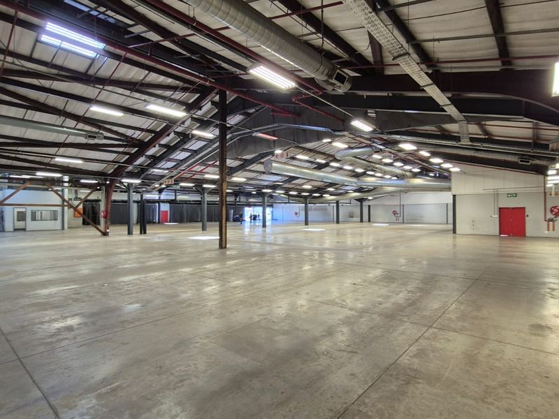 Prime 6873m2 Freestanding Industrial Facility with Superlink Access in Hermanstad - Photo 8
