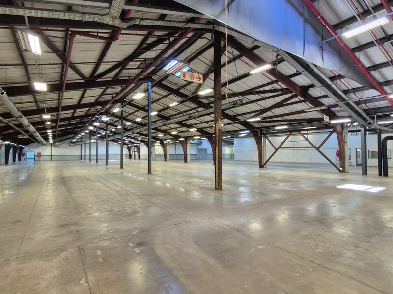 Prime 6873m2 Freestanding Industrial Facility with Superlink Access in Hermanstad - Photo 6