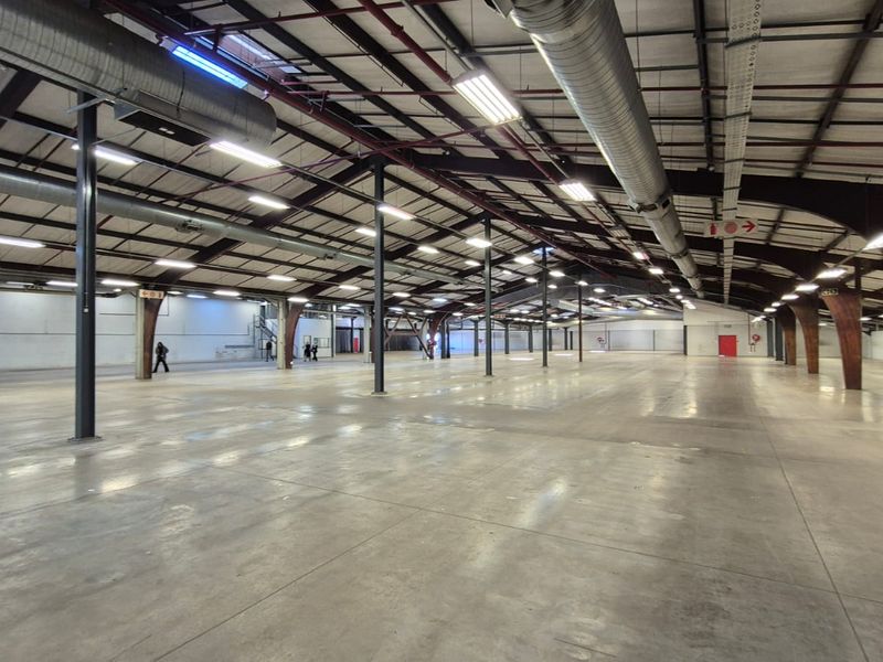 Prime 6873m2 Freestanding Industrial Facility with Superlink Access in Hermanstad - Photo 9
