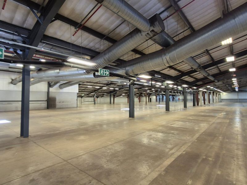Prime 6873m2 Freestanding Industrial Facility with Superlink Access in Hermanstad - Photo 4