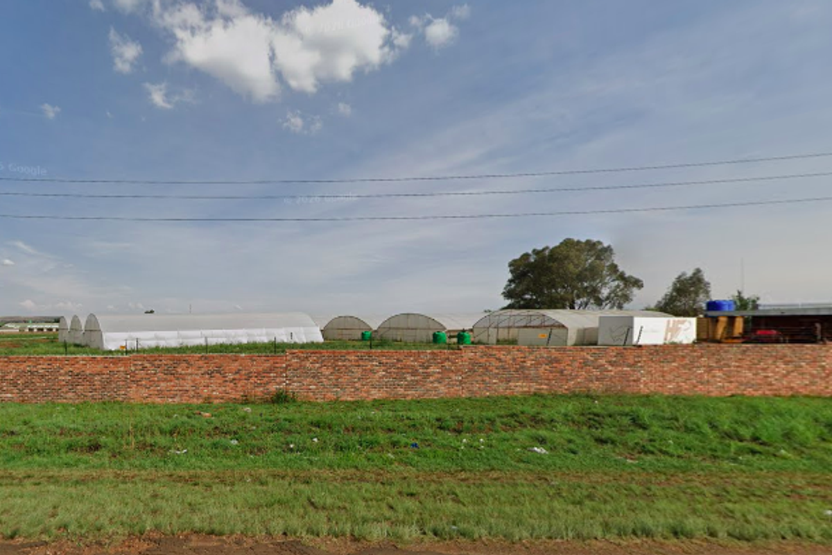 Prime Industrial and Agricultural Development Opportunity Near Durban Rail Link - Photo 3