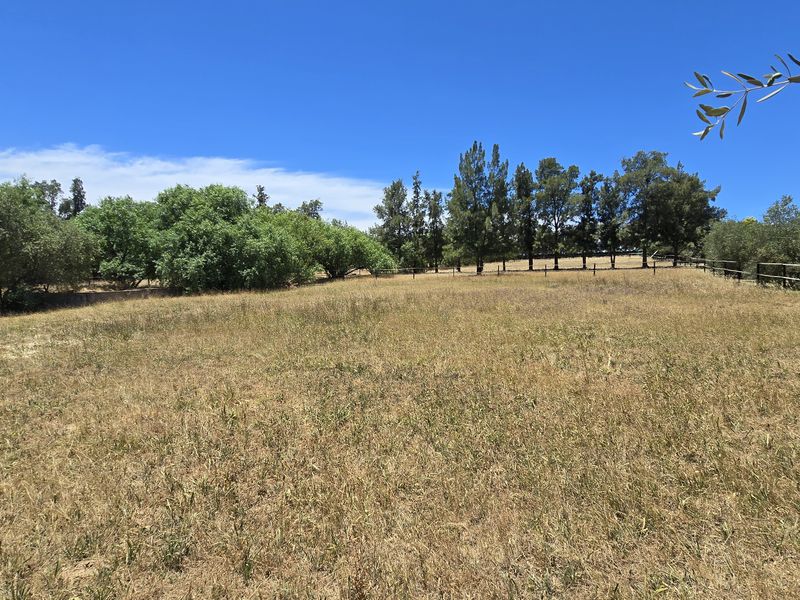 Versatile smallholding outside Wellington for sale - Photo 10