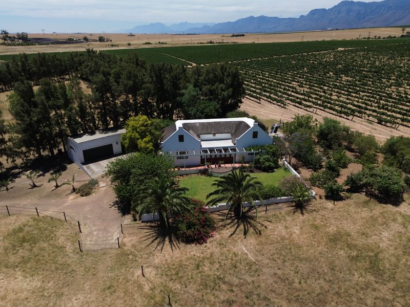 Versatile smallholding outside Wellington for sale - Photo 1