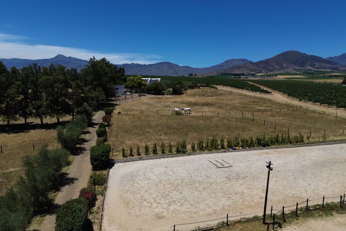 Aerial view of a farm property featuring a sand riding arena, fenced paddocks, and expansive vineyard landscapes set against a mountain backdrop.