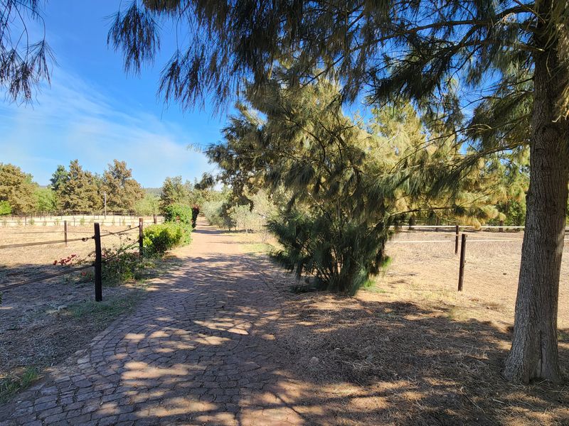 Versatile smallholding outside Wellington for sale - Photo 6