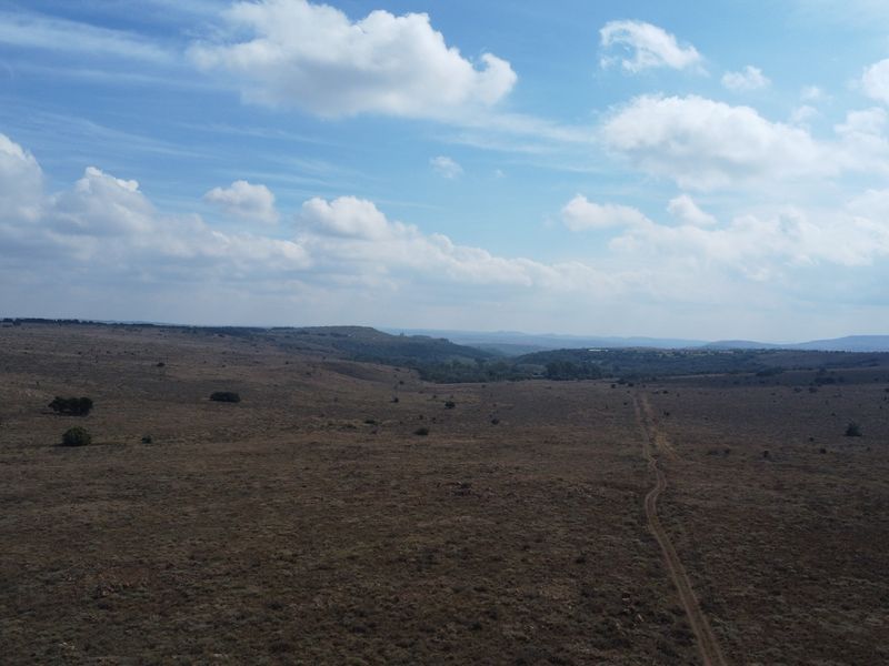 Expand Your Herd with This Excellent Grazing Land - Photo 2