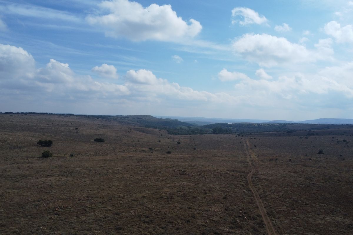 Expand Your Herd with This Excellent Grazing Land - Photo 2