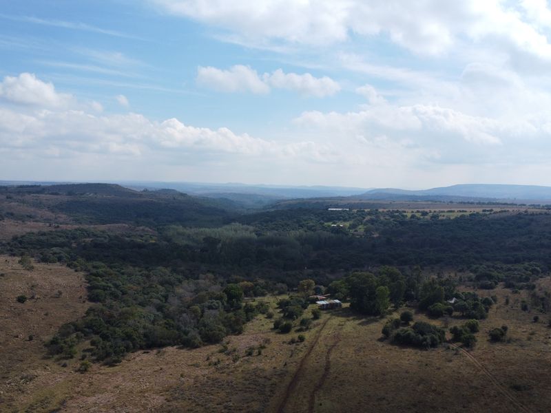 Expand Your Herd with This Excellent Grazing Land - Photo 4