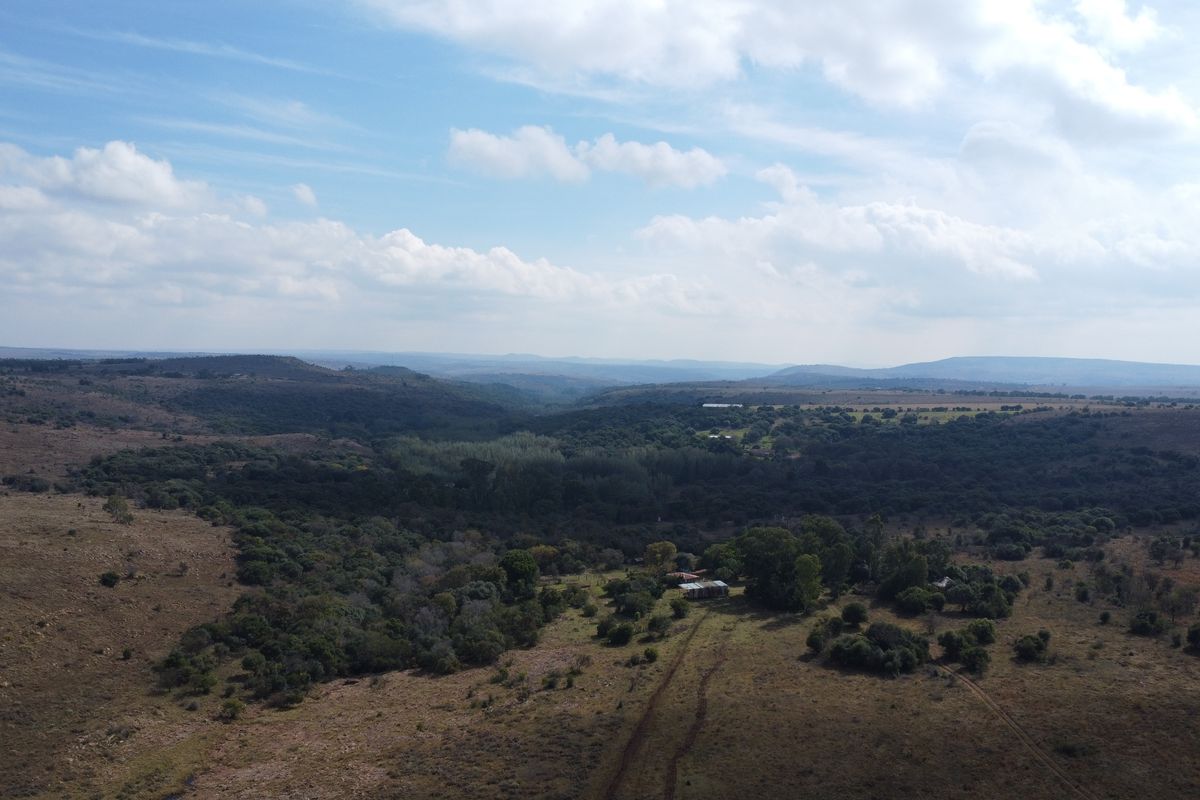 Expand Your Herd with This Excellent Grazing Land - Photo 4