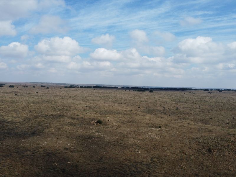 Expand Your Herd with This Excellent Grazing Land - Photo 3